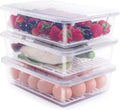 Food Storage Container, (3-Pack) Plastic Food Containers with Removable Drain Plate and Lid, Stackable Portable Freezer Stora